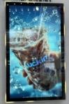 43 Inch Portrait Monitor